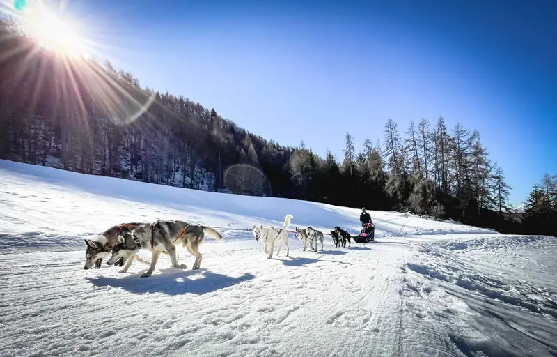 BEST winter activities in Finland