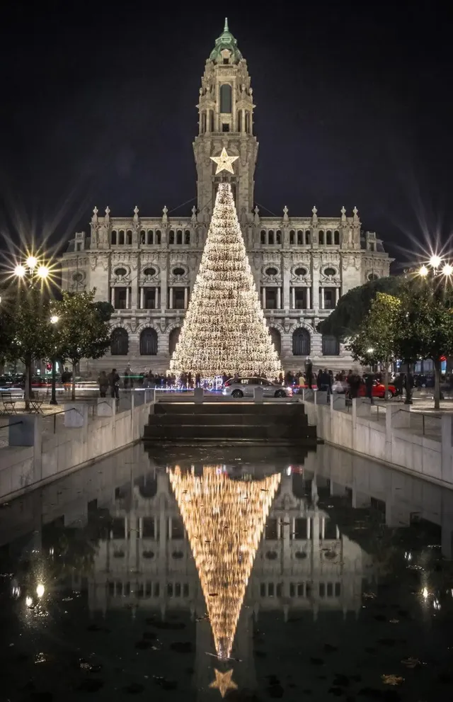Christmas lights beside Porto City Hall at night.