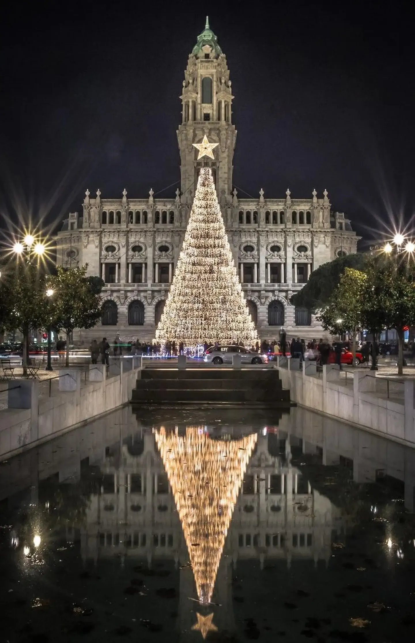 Christmas lights beside Porto City Hall at night.