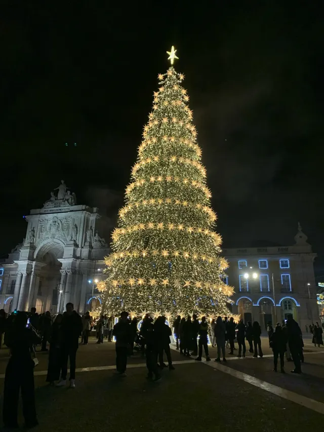 A Christmas tree in Lisbon at night.